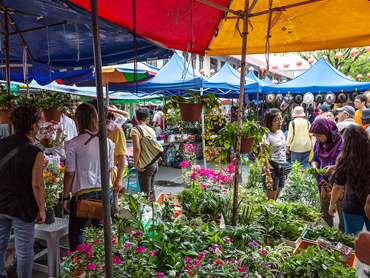 체크아웃투어(왕복송영,7시간투어,드라이버,가이드포함)
